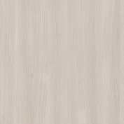 17 Betula Paris