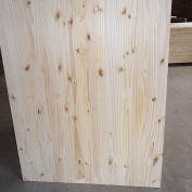 PAINEL PINUS COM NÓ 2