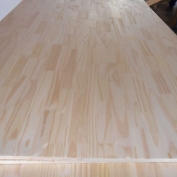 PAINEL PINUS SEM NÓ 2